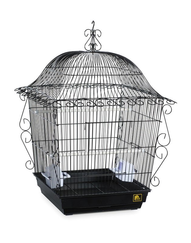 Prevue 220 Black Scrollwork Cage