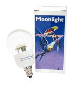 FeatherBrite LED Moonlight Bulb